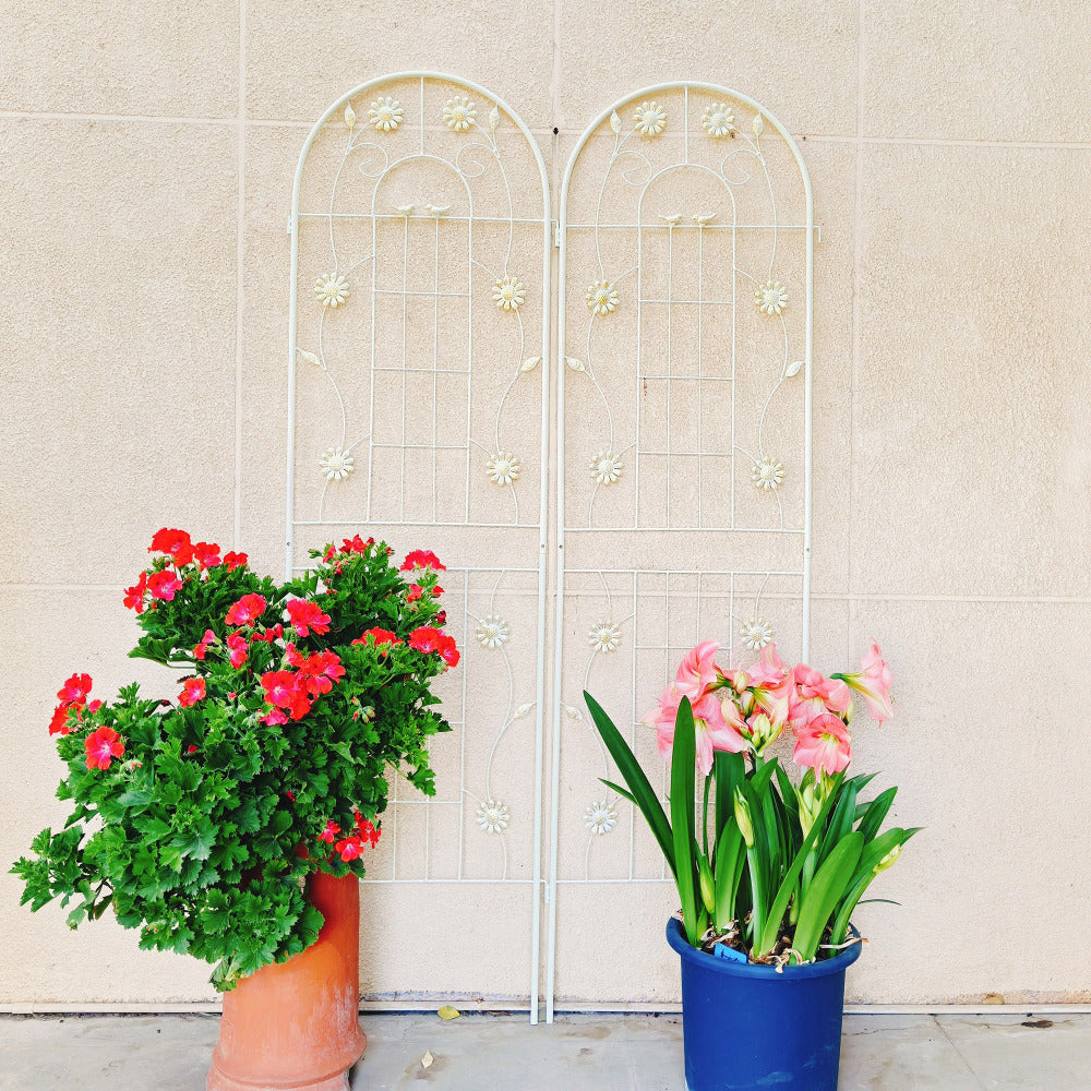 4 Pack Metal Garden Trellis 71" x 19.7" Rustproof Trellis for Climbing Plants Outdoor Flower Support Cream White
