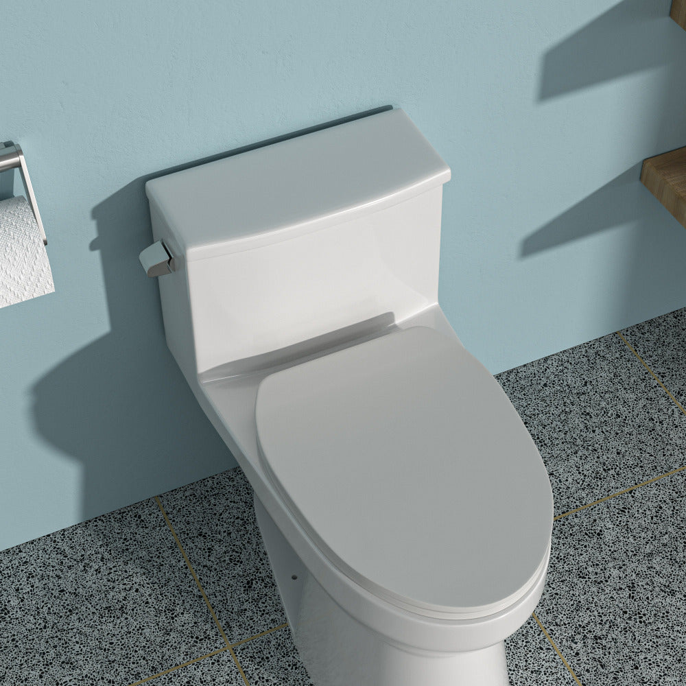 Ceramic One Piece Toilet,Dual Flush with Soft Clsoing Seat
