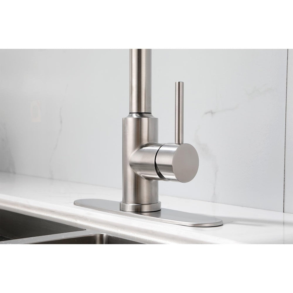 Kitchen Faucet with Pull Down Sprayer