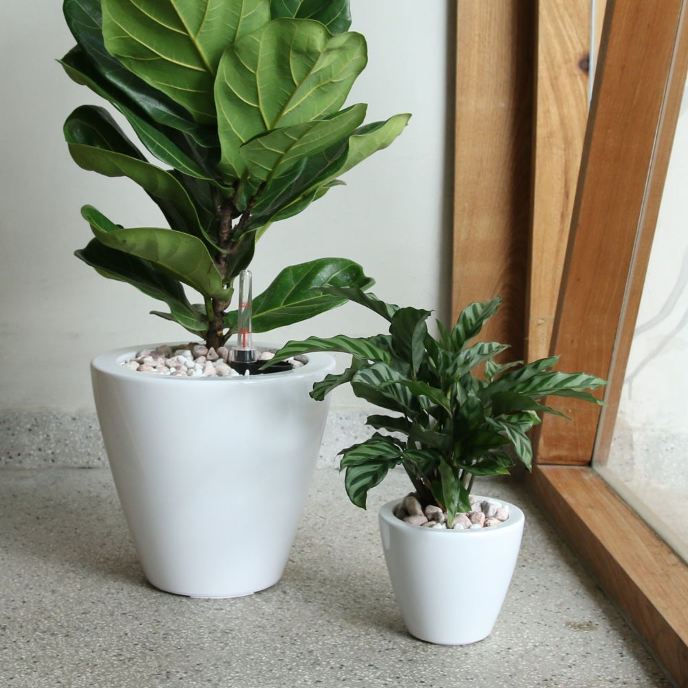 2-Pack 10 in.Dark Wood Plastic Self-watering Planter Pot