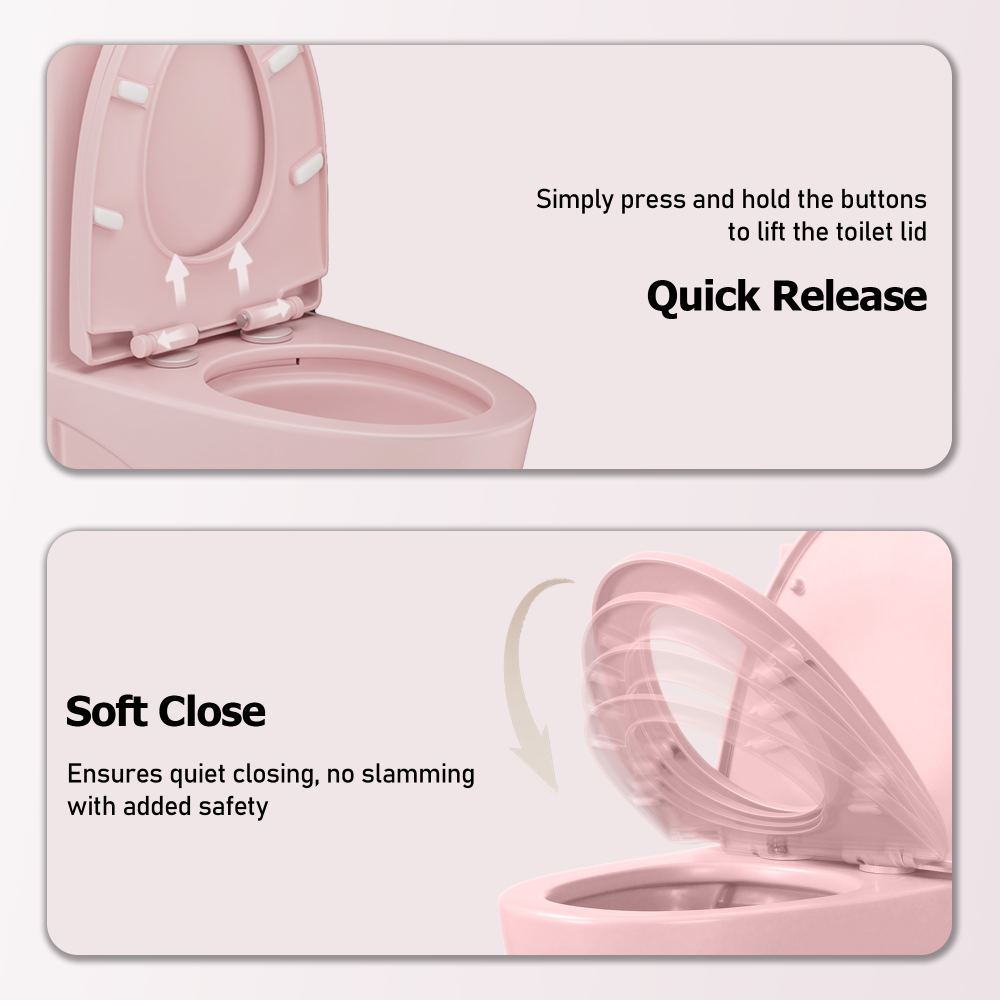 1.1/1.60 GPF Dual-Flush One Piece Toilet, Water-Saving Elongated Comfort Height Floor Mounted, Soft Close 1000 Gram Map Flushing Score Toilet, Pink Rose 24T01-RS