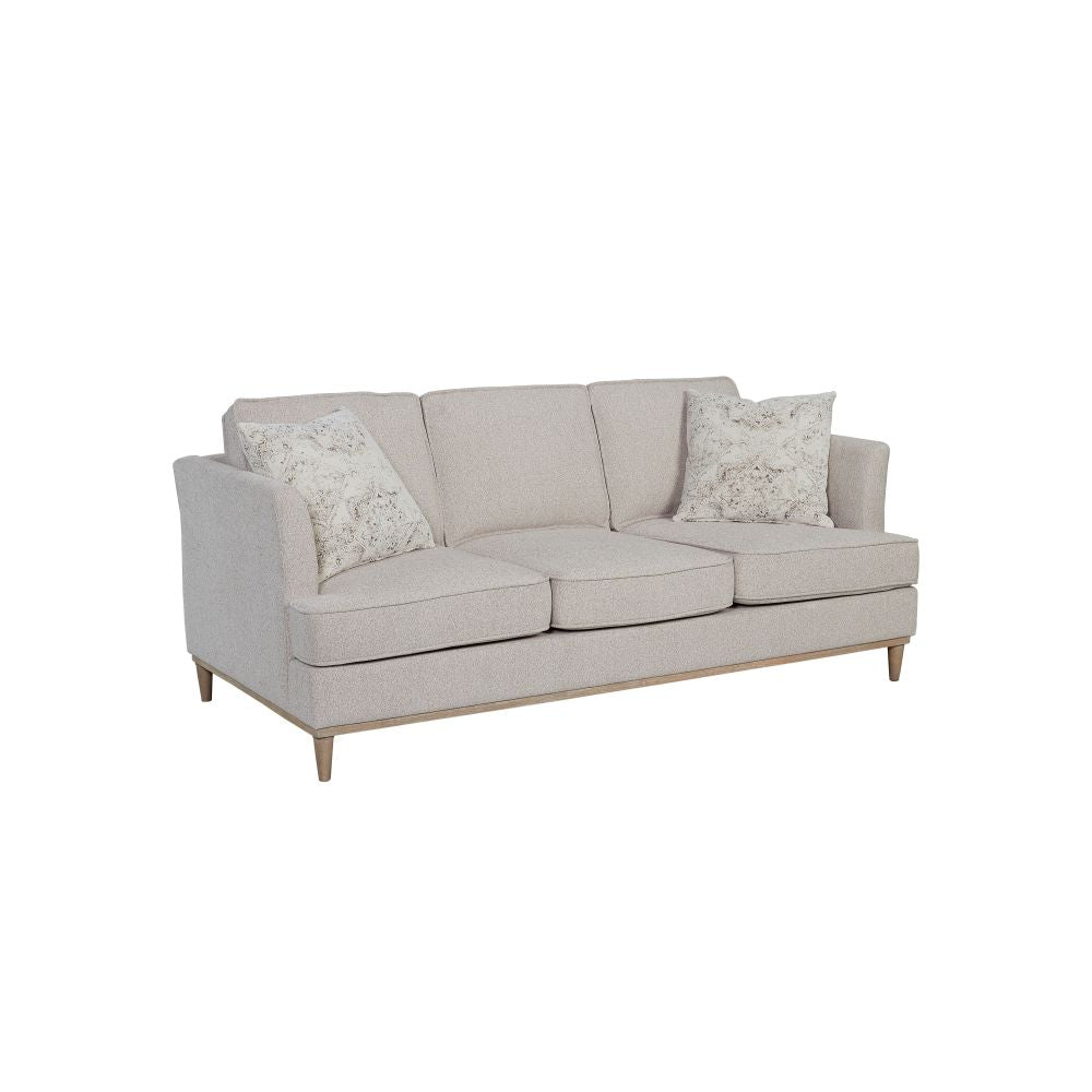Loveseat Reversable Cushion with 2 Pillows