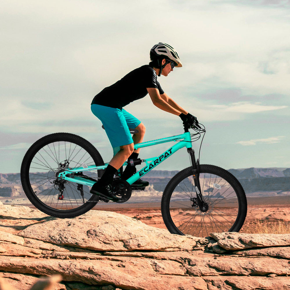 A26207 26 Inch Steel Frame Shock Fork Plus Shock Absorber 21-speed Unisex Mountain Bike