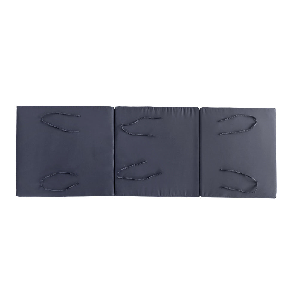 BROADWAY/IAN CHAISE LOUNGE CUSHION