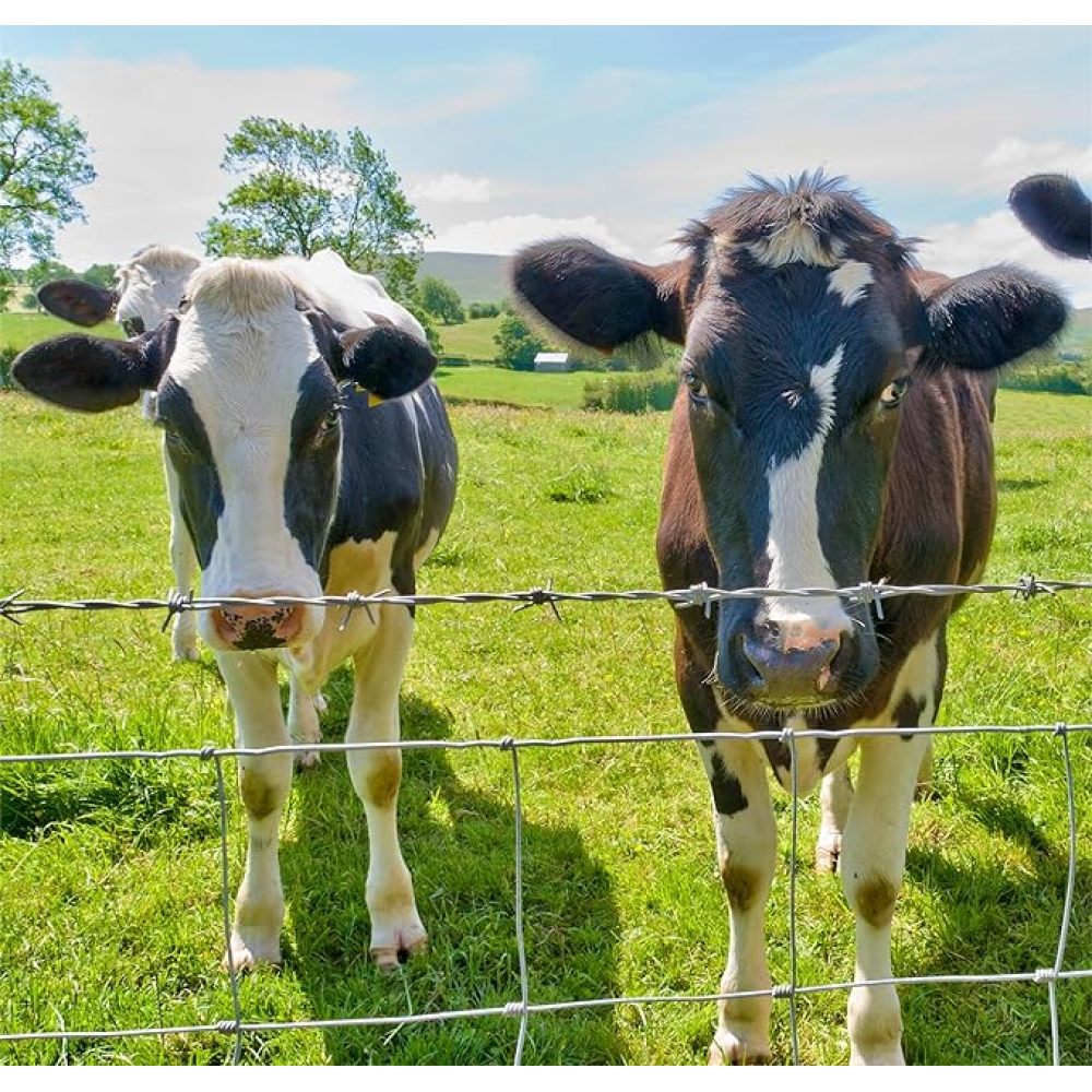 Farm Fence 4ft x 164ft 14Gauge Heavy Zinc Coating Cattle Fence,Galvanized Field Wire Fencing Deer Fence,Goat Fence,Hog Wire Fencing for Yard Livestock & Animals Protection