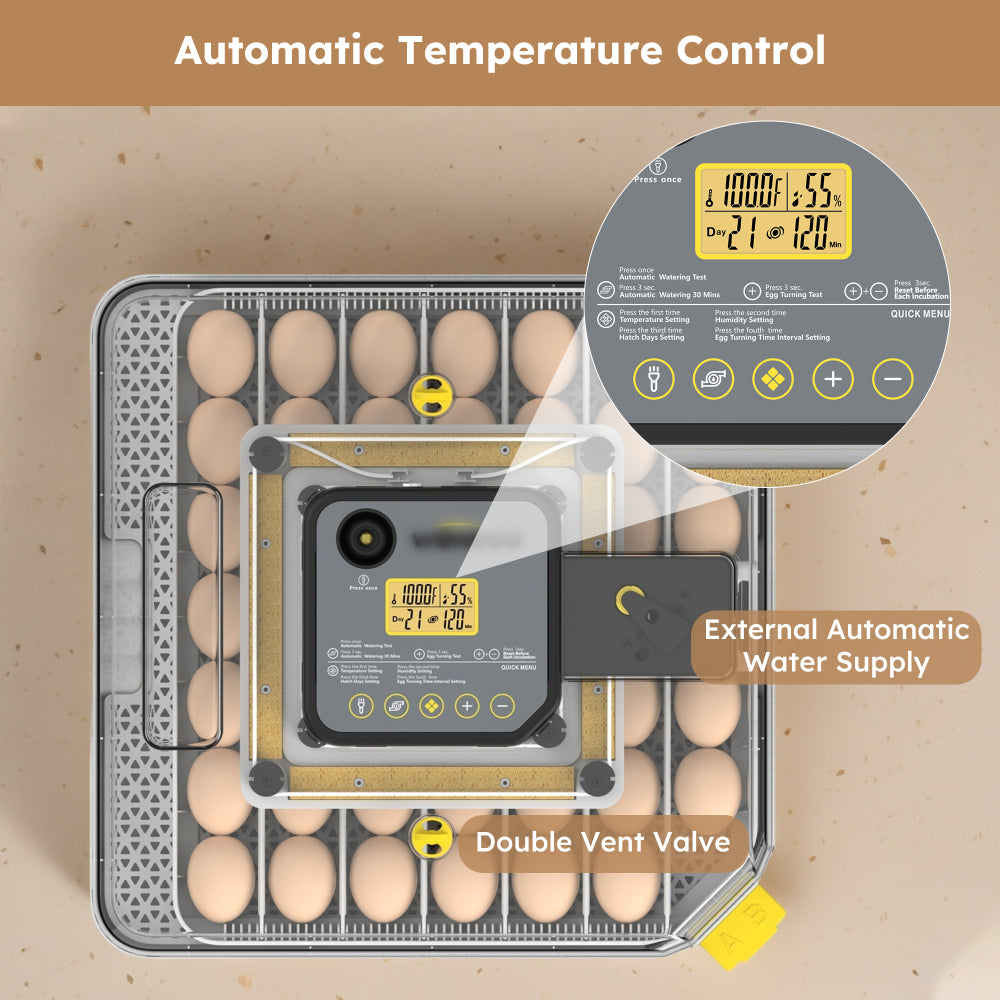 48 Egg Incubator for Hatching Chicken, Duck, Quail & Parrot Eggs – Automatic Egg Turning, Humidity Control & Water Serving – 360° Clear View Poultry Hatcher with Temperature Display