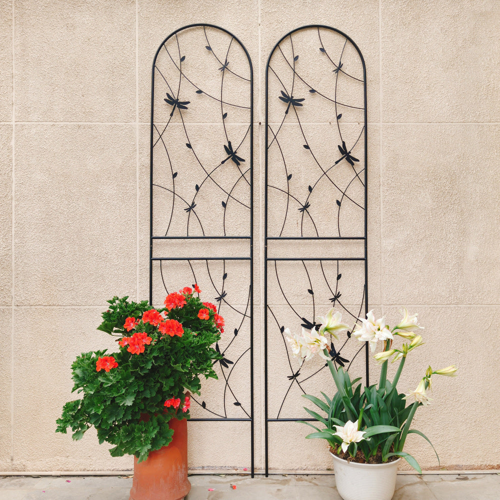 2 Pack Metal Garden Trellis 71" x 19.7" Rustproof Trellis for Climbing Plants Outdoor Flower Support Dragonfly Deco Black