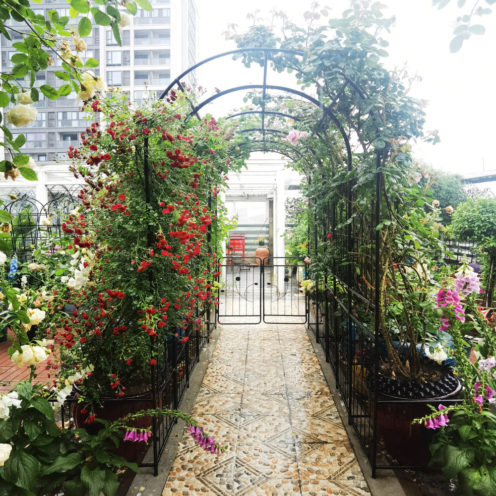 Metal Garden Arch with two plant stands 79.5'' Wide x 86.6'' High Climbing Plants Support Rose Arch Outdoor Black