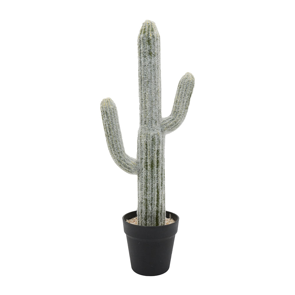 8x5x24.5"H Artificial Saguaro Cactus in Black Pot