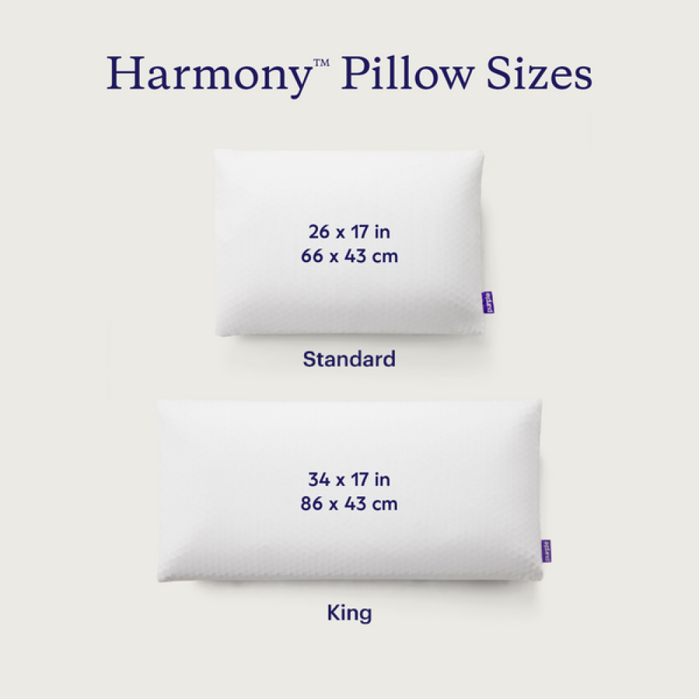 The Purple Harmony Pillow Low - Standard, Case Pack 4