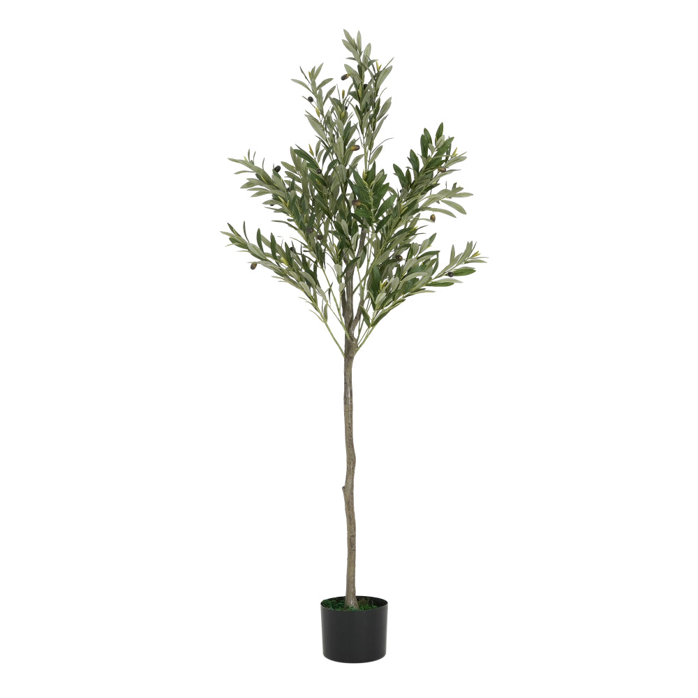 66" Artificial Olive Tree with Pot