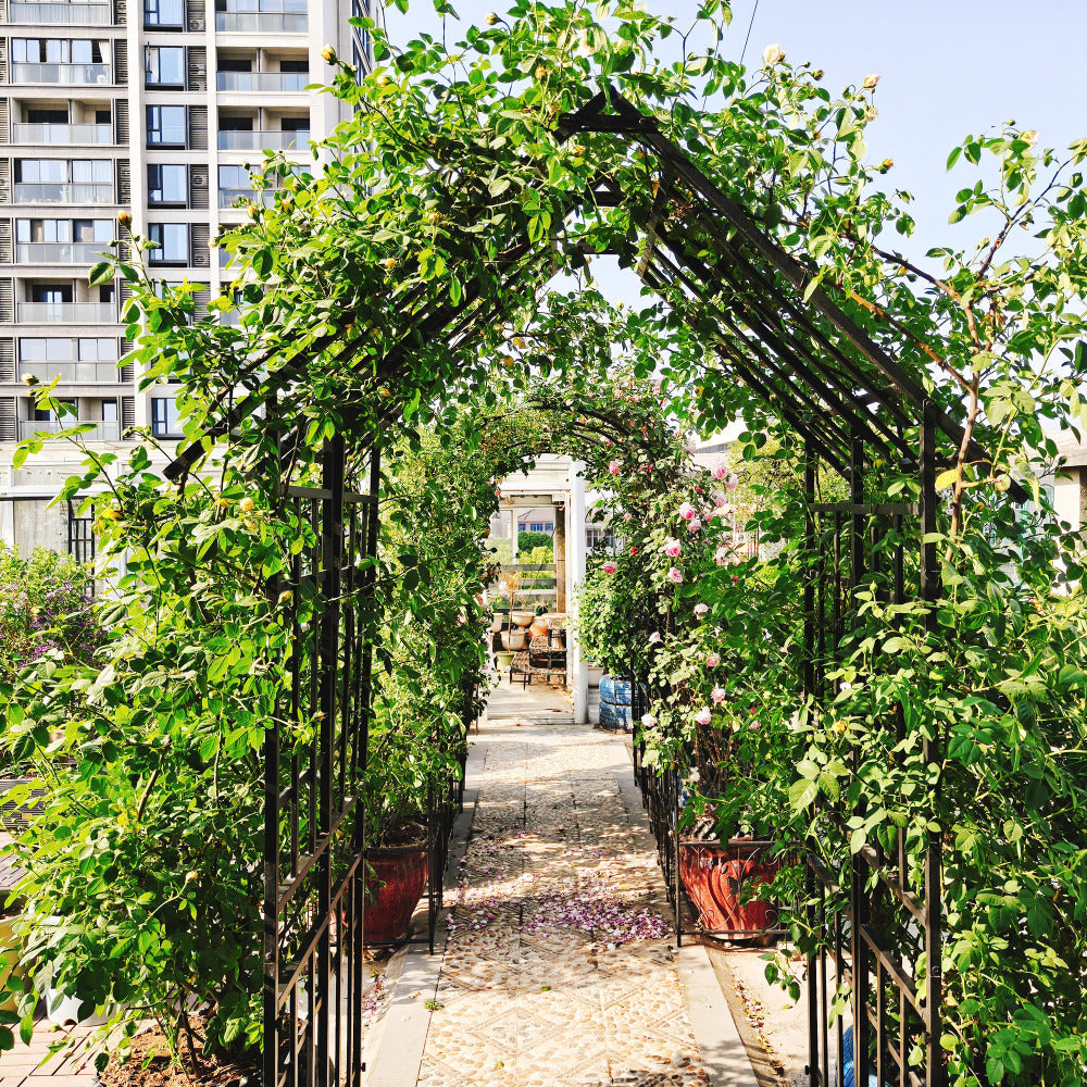 Metal Garden Arch with Gate W58.07*H97.24 Climbing Plants Support Rose Arch Outdoor Black