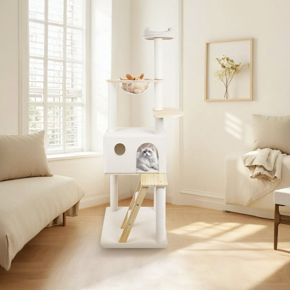 wood cat tree with large condo wood ladder and transparent spacecraft 165cm