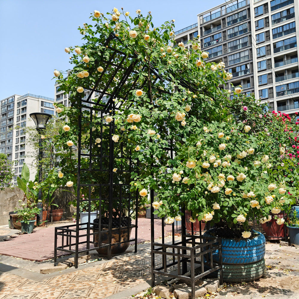 Metal Garden Arch with Adjustable Width W68.11''~W94.29'' Climbing Plants Support Rose Arch Outdoor Black