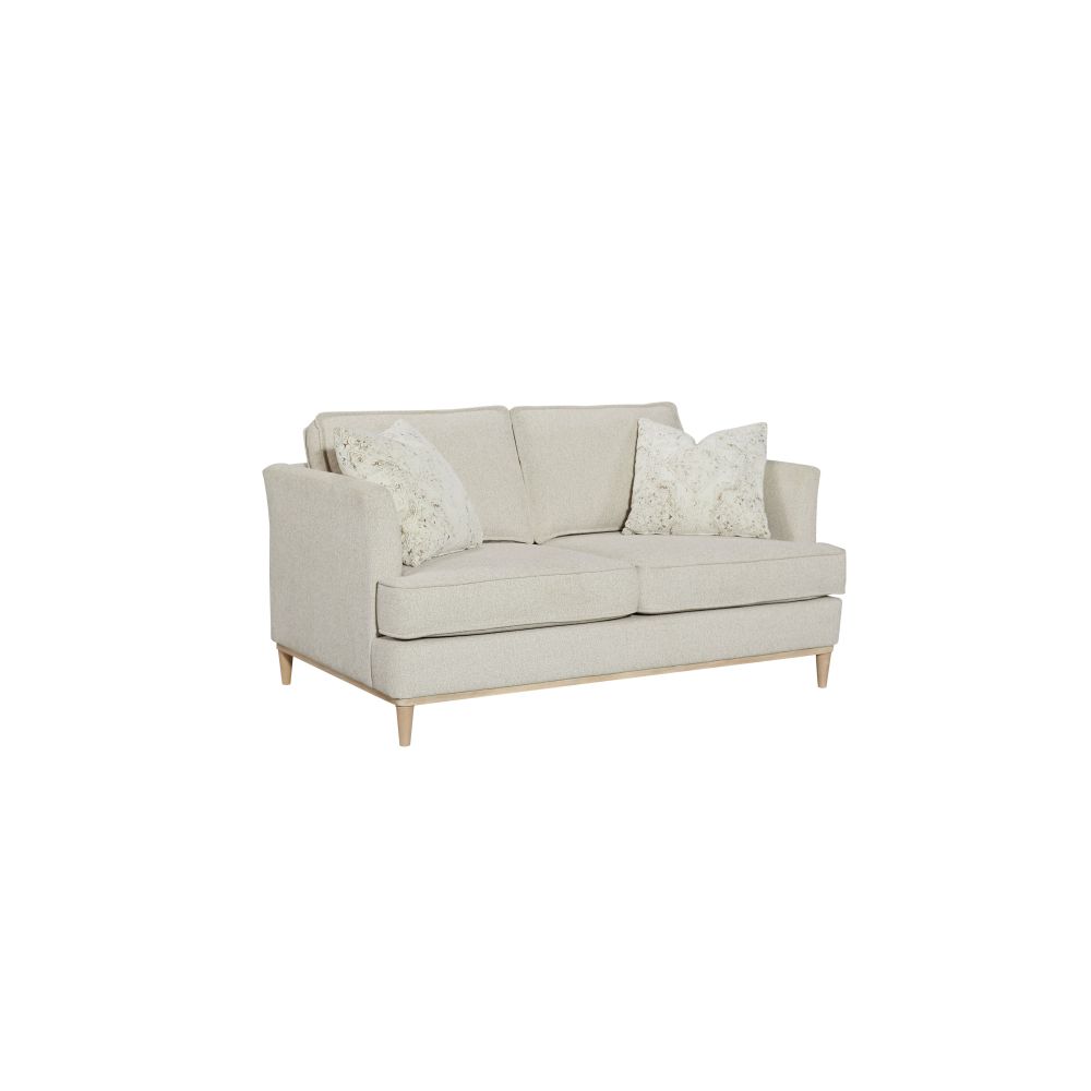 Loveseat Reversable Cushion with 2 Pillows