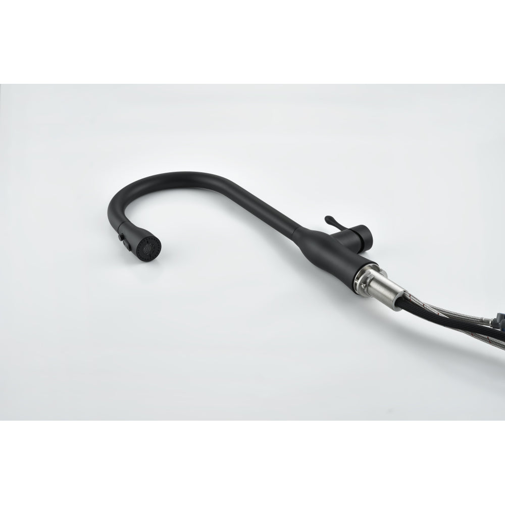 Pull-Down Single Handle Kitchen Faucet in Matte Black