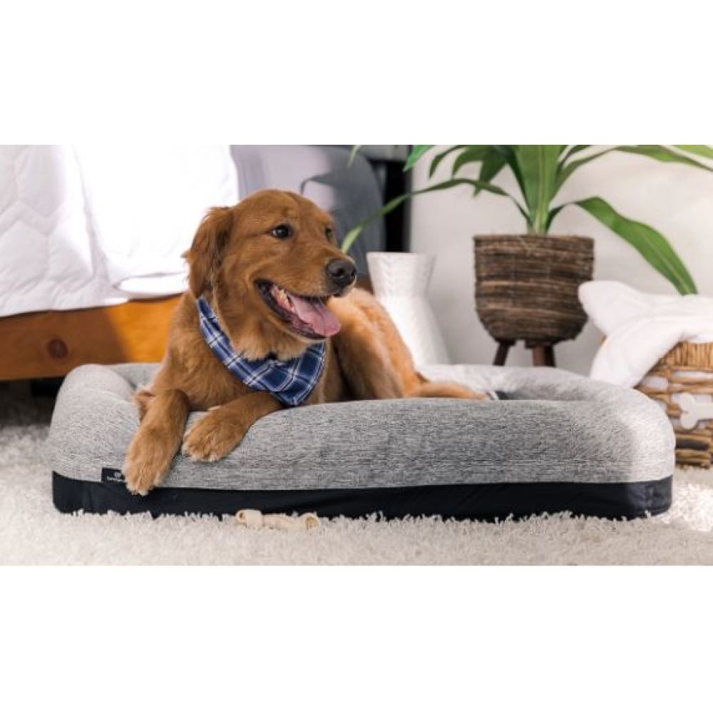 BedGear Performance Pet Bed, XL