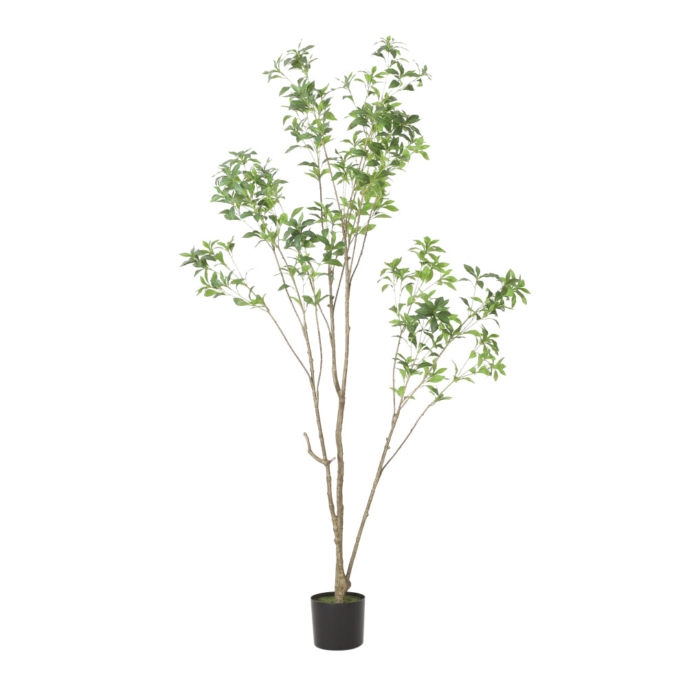 210CMARTIFICIAL PIERIS TREE