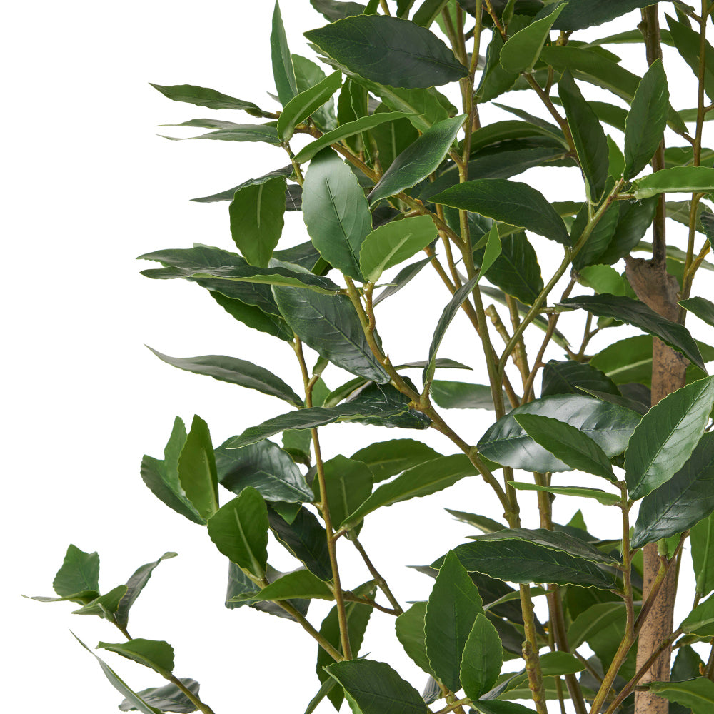 150CM ARTIFICIAL LAUREL TREE