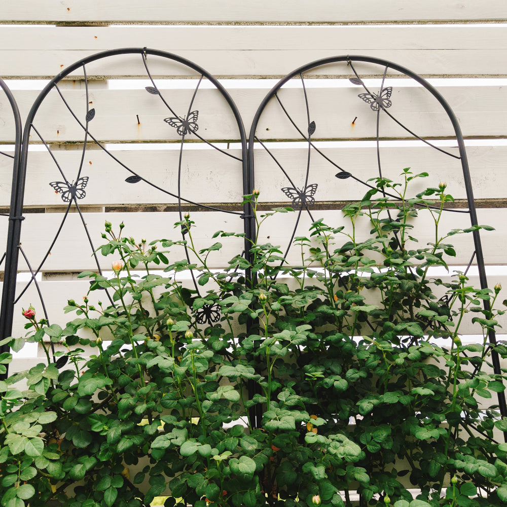 2 Pack Metal Garden Trellis 86.7" x 19.7" Rustproof Trellis for Climbing Plants Outdoor Flower Support Butterfly Deco Black