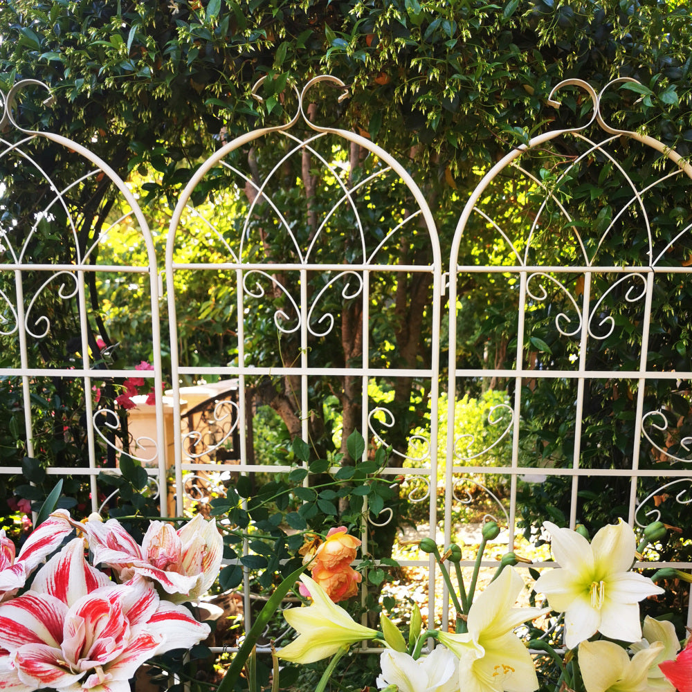 4 Pack Metal Garden Trellis 71" x 19.7" Rustproof Trellis for Climbing Plants Outdoor Flower Support Black