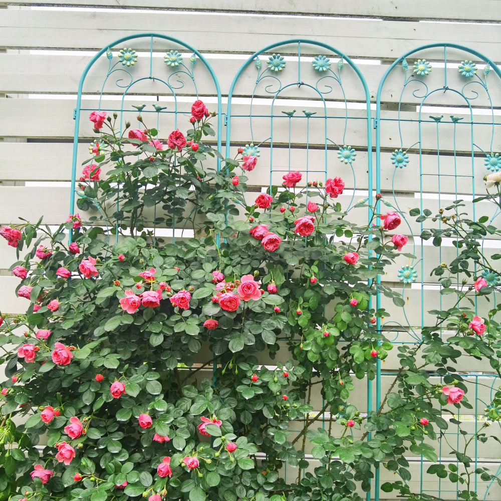 2 Pack Metal Garden Trellis 86.7" x 19.7" Rustproof Trellis for Climbing Plants Outdoor Flower Support Green