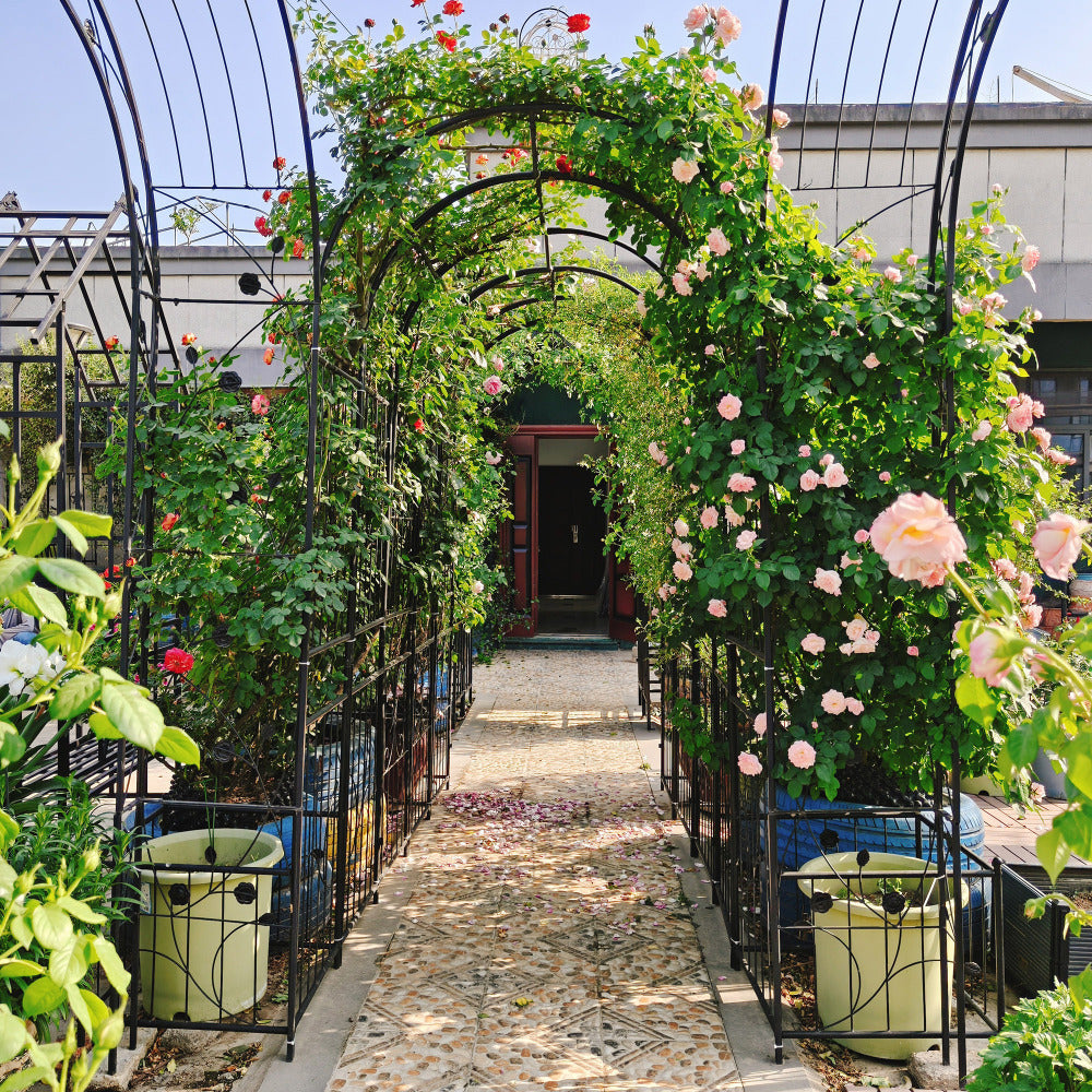 Metal Garden Arch with two plant stands 79.5'' Wide x 86.6'' High Climbing Plants Support Rose Arch Outdoor Black