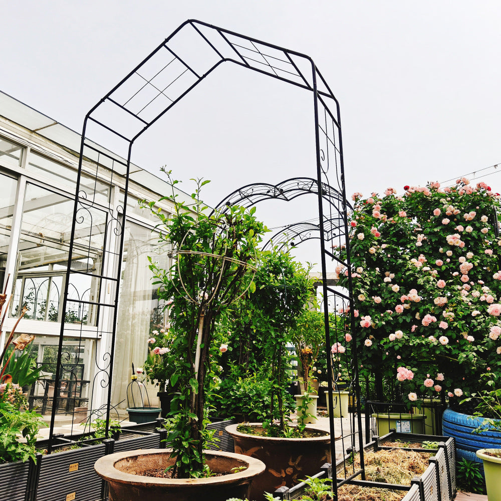 Metal Garden Arch L56.3'' x W16.93'' x H94.5'' Climbing Plants Support Rose Arch Outdoor Black