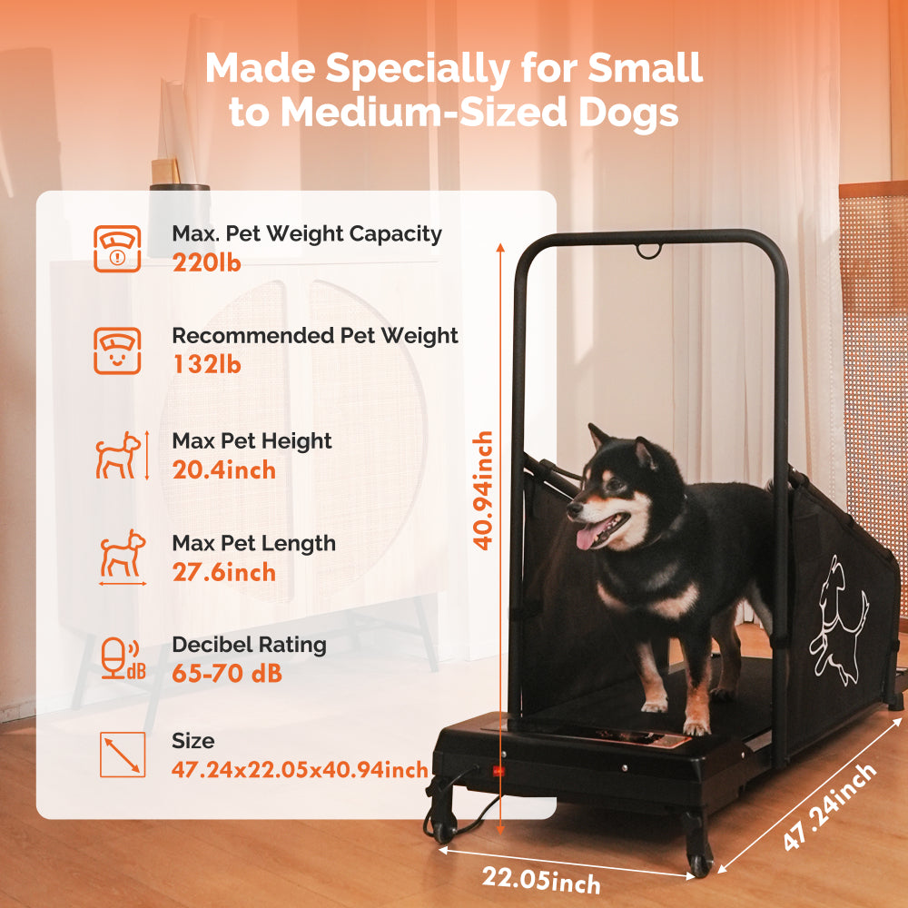 Dog Treadmill for Medium Dogs - Dog Pacer Treadmill for Healthy & Fit Pets - Dog Treadmill Run Walk