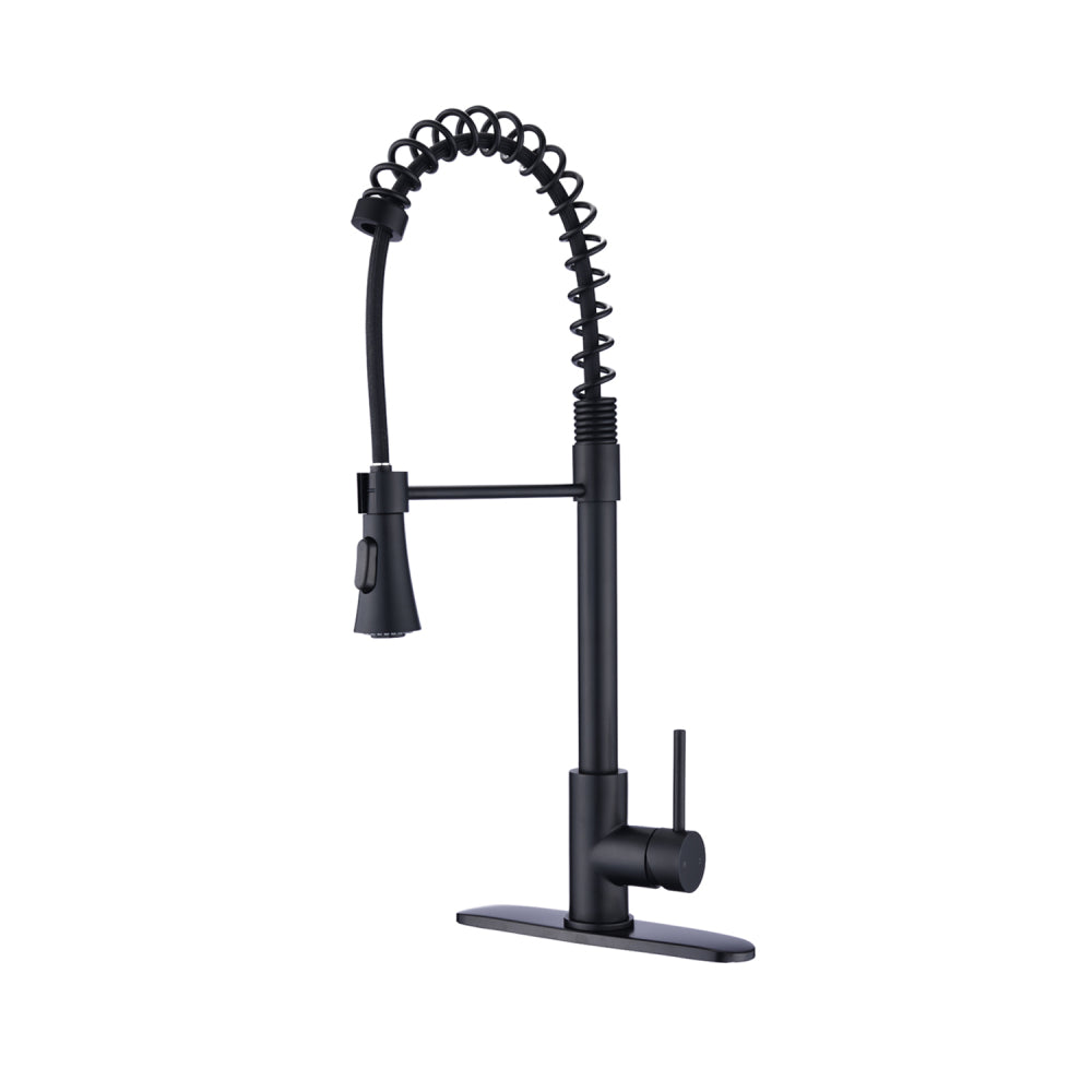 Brushed Nickel Single Handle Commercial Modern Spring High Arc Kitchen Faucet Water Filter System Bends as You Want