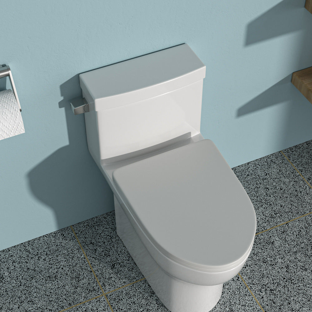 Ceramic One Piece Toilet,Dual Flush with Soft Clsoing Seat
