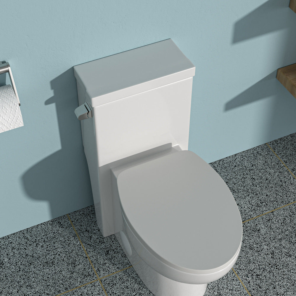 Ceramic One Piece Toilet,Dual Flush with Soft Clsoing Seat