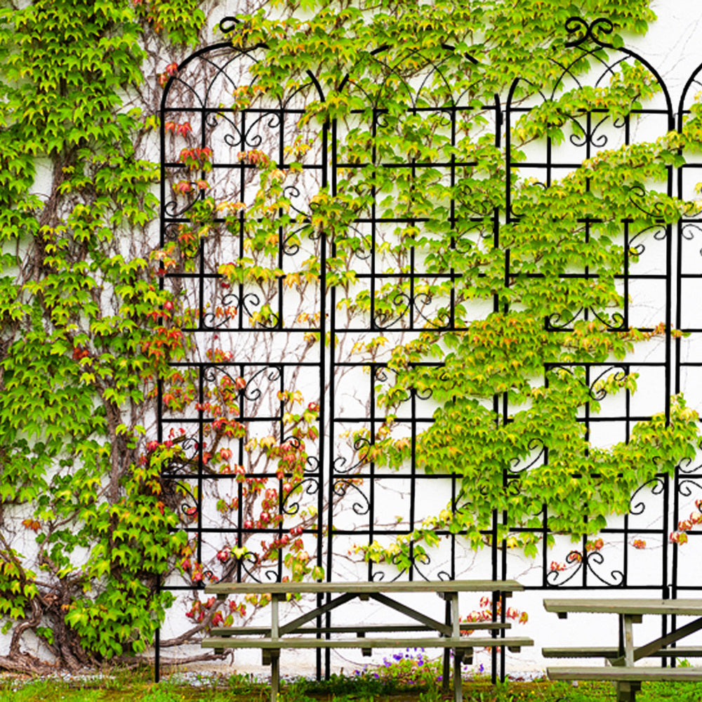 4 Pack Metal Garden Trellis 86.7" x 19.7" Rustproof Trellis for Climbing Plants Outdoor Flower Support Black