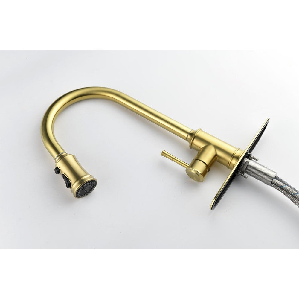 Single Handle High Arc Pull Out Kitchen Faucet,Single Level Stainless Steel Kitchen Sink Faucets with Pull Down Sprayer