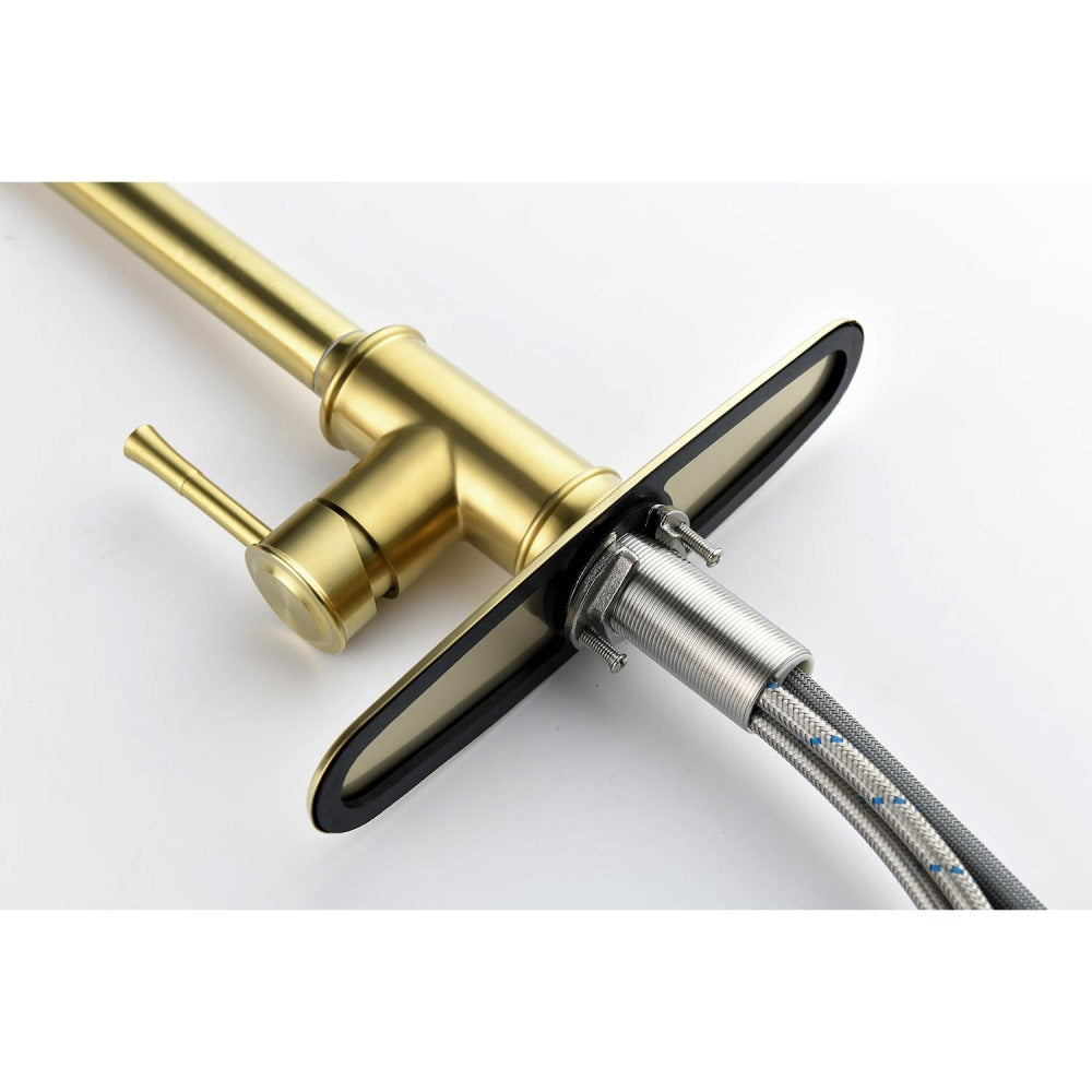 Single Handle High Arc Pull Out Kitchen Faucet,Single Level Stainless Steel Kitchen Sink Faucets with Pull Down Sprayer