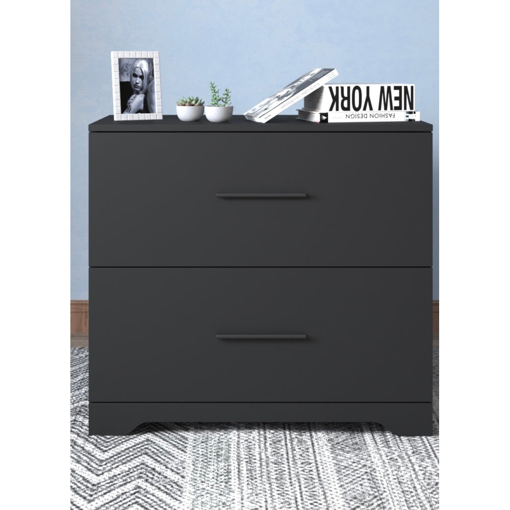 2 -Drawer Lateral Filing Cabinet,Storage Filing Cabinet for Home Office, Black