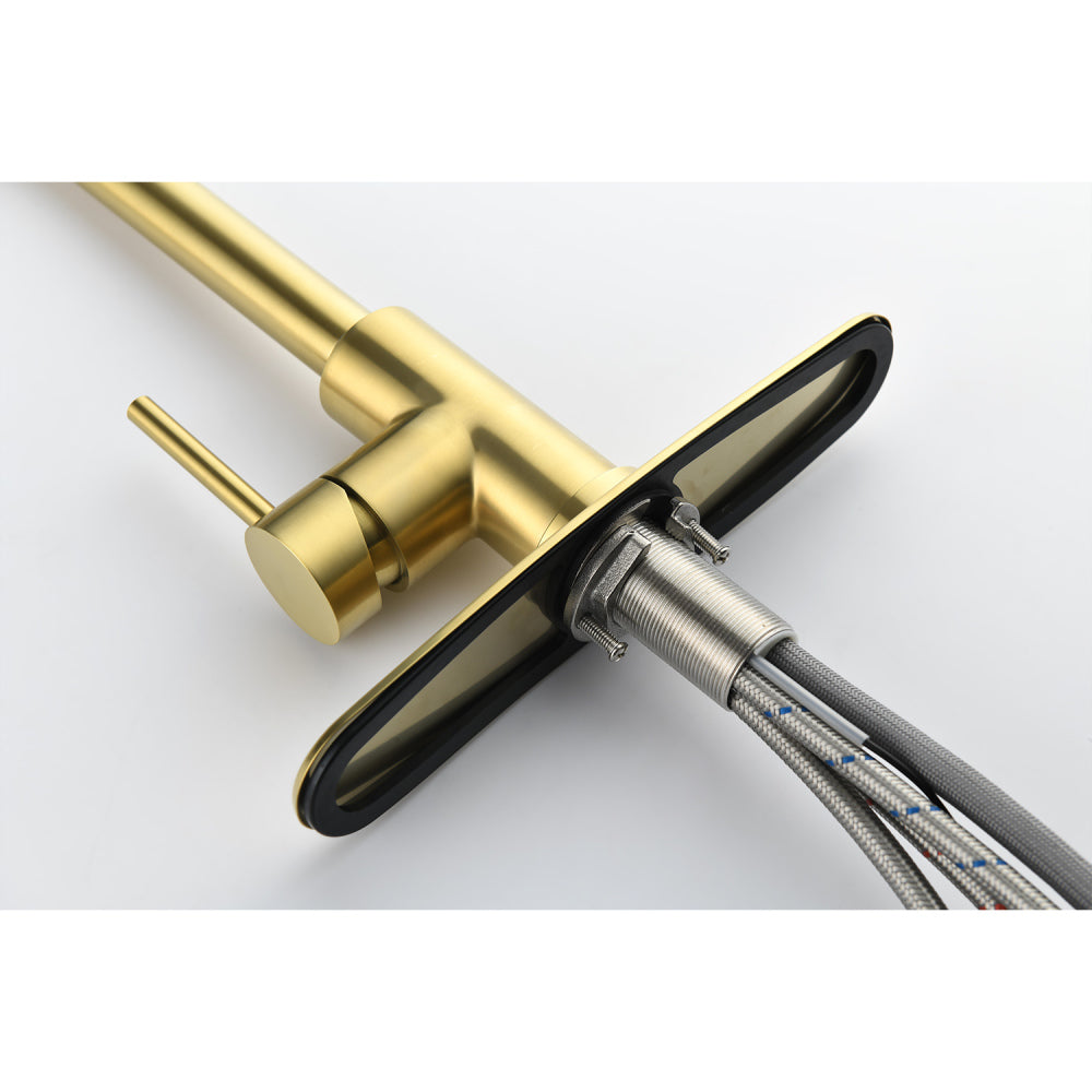 Kitchen Faucet with Pull Down Sprayer