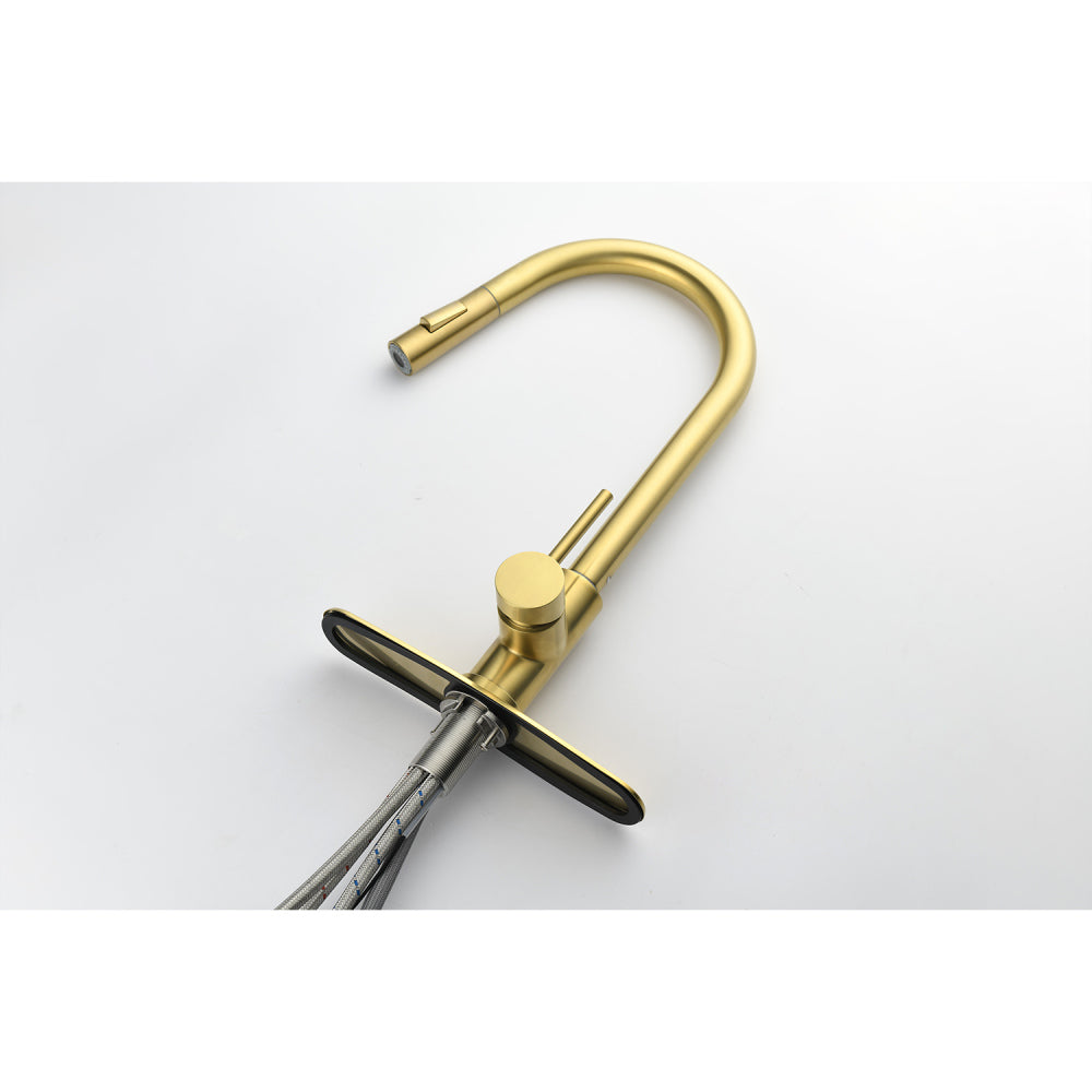 Kitchen Faucet with Pull Down Sprayer