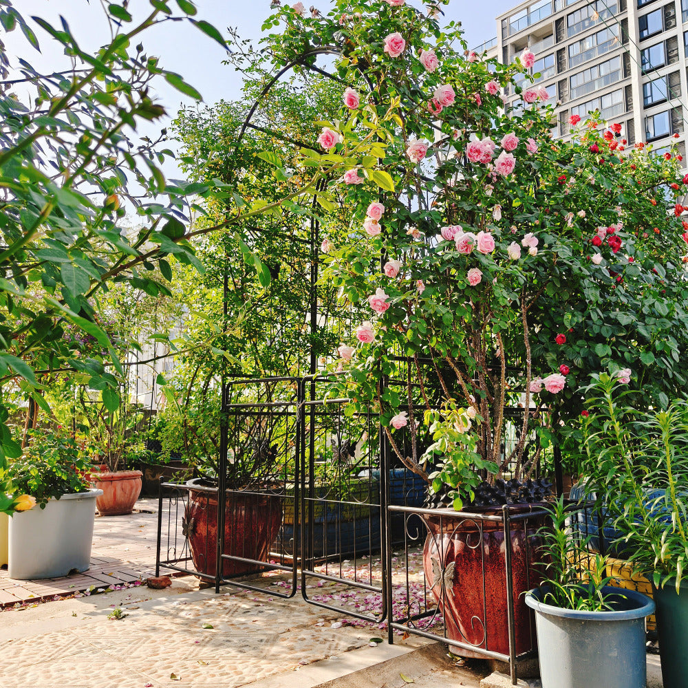 Metal Garden Arch with Gate 79.5'' Wide x 86.6'' High Climbing Plants Support Rose Arch Outdoor Black