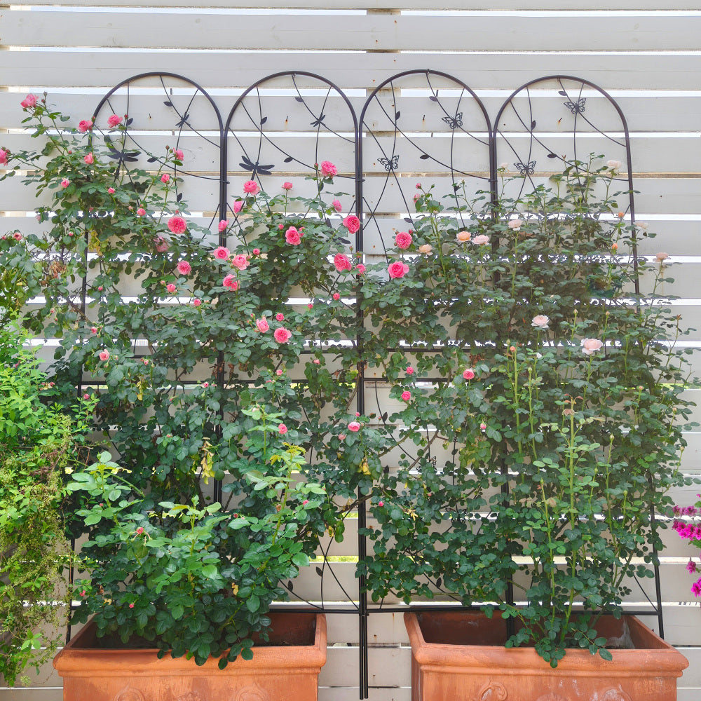 2 Pack Metal Garden Trellis 86.7" x 19.7" Rustproof Trellis for Climbing Plants Outdoor Flower Support Dragonfly Deco Black