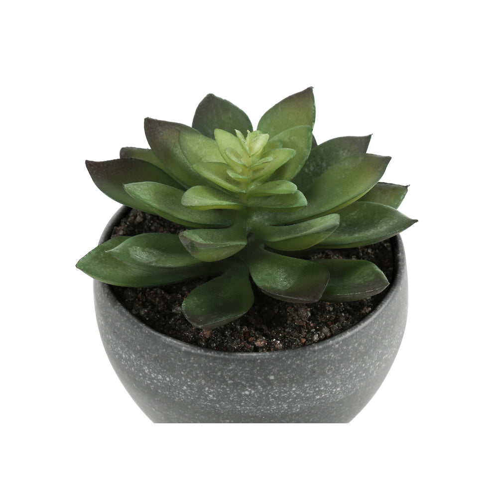 Artificial Plant, 6" Tall, Succulent, Indoor, Faux, Fake, Table, Greenery, Potted, Set Of 3, Decorative, Green Plants, Grey Cement Pots
