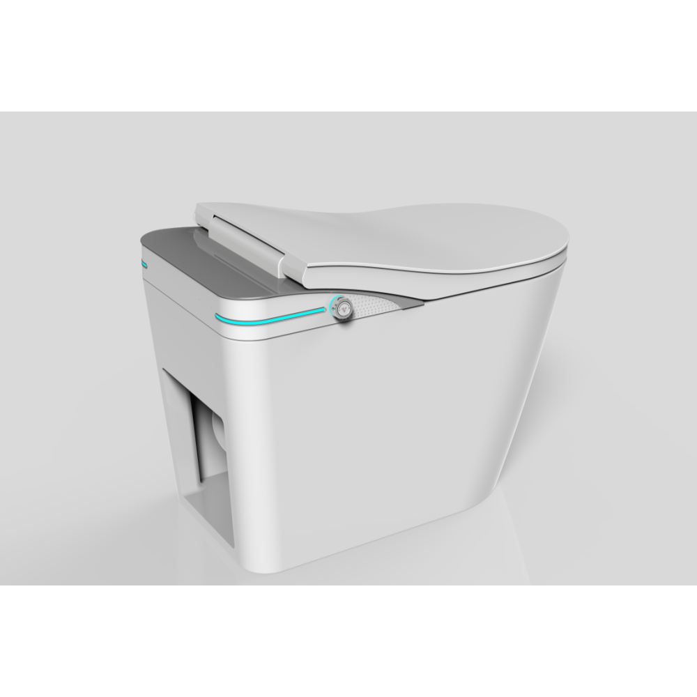 Smart Toilet with Built-in Heated Seat, Tankless Toilet with Auto Flushing, Adjustable Seat Temp, Flush Remote Control LED Digital Display, Elongated