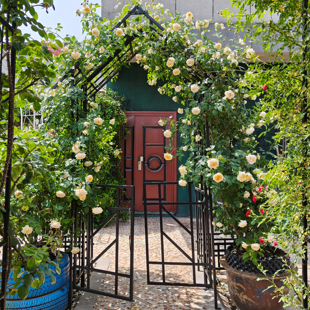 Metal Garden Arch with Gate W58.07*H97.24 Climbing Plants Support Rose Arch Outdoor Black