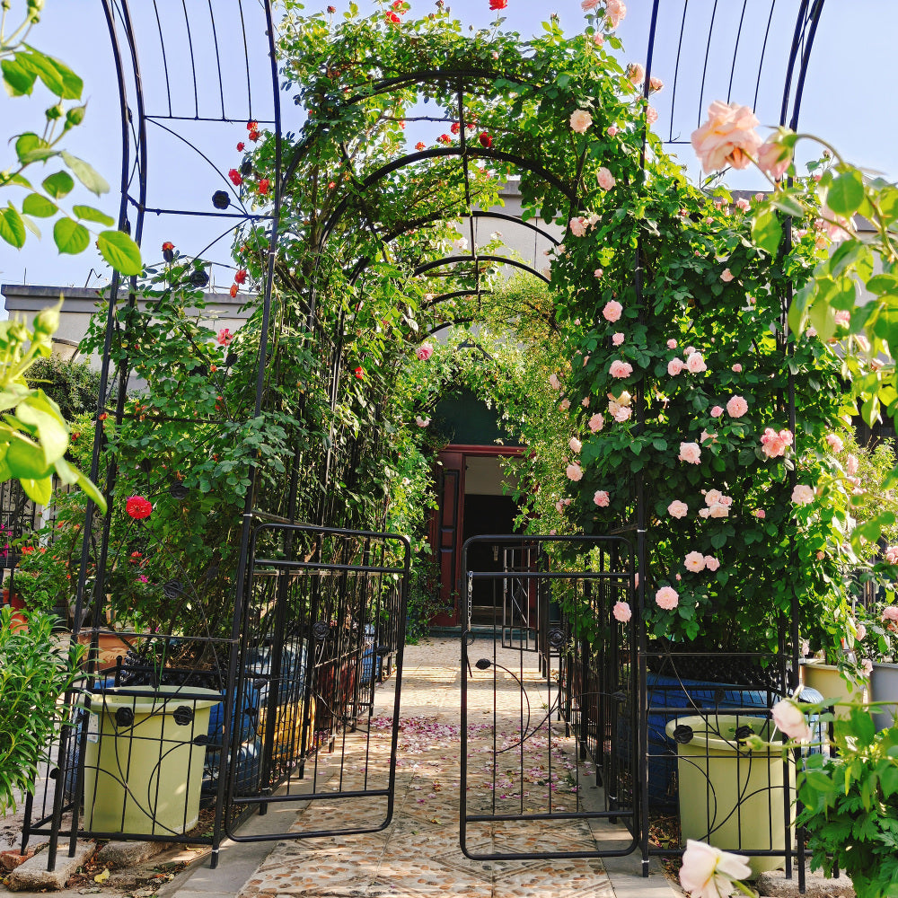 Metal Garden Arch with Gate 79.5'' Wide x 86.6'' High Climbing Plants Support Rose Arch Outdoor Black