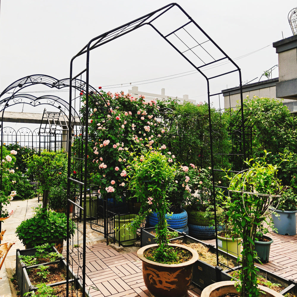 Metal Garden Arch L56.3'' x W16.93'' x H94.5'' Climbing Plants Support Rose Arch Outdoor Black