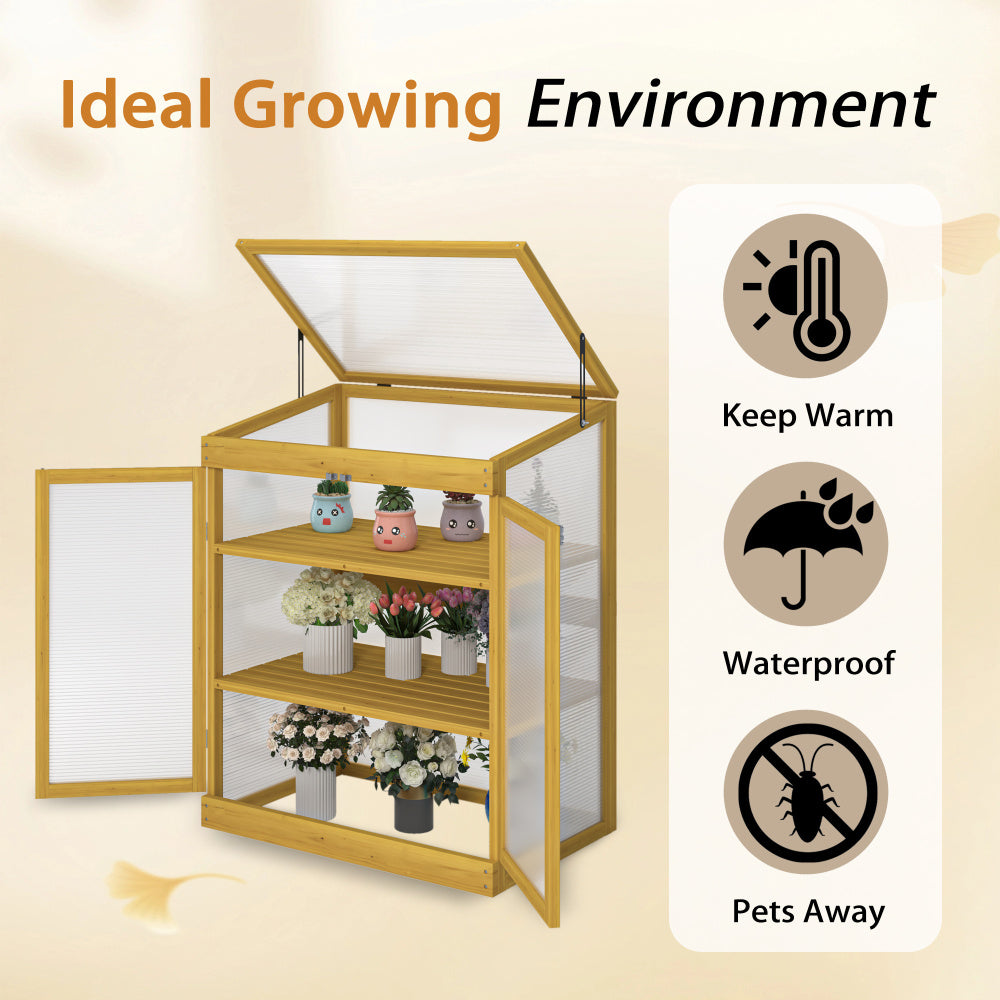 Greenhouse Wooden Cold Frame Greenhouse, Mini Greenhouse for Outdoor, Polycarbonate Garden Greenhouse Cabinet 2-Tier, Keep Plant Warm Enough