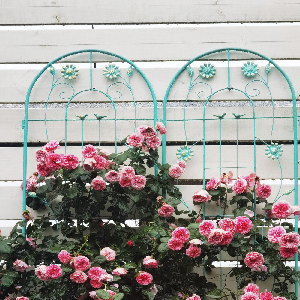 4 Pack Metal Garden Trellis 71" x 19.7" Rustproof Trellis for Climbing Plants Outdoor Flower Support Green
