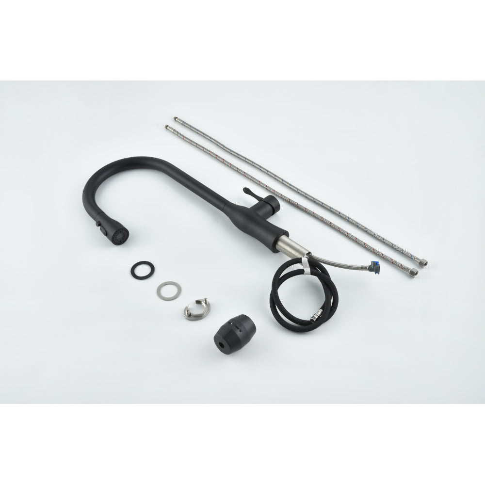 Pull-Down Single Handle Kitchen Faucet in Matte Black
