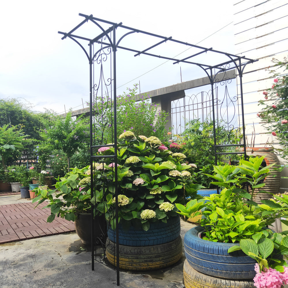 Metal Garden Arch L80.3'' x W20.47'' x H81.1'' Climbing Plants Support Rose Arch Outdoor Black