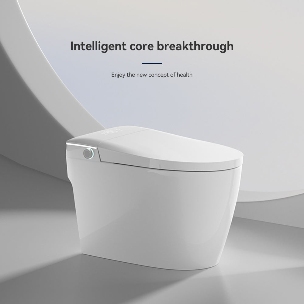 Smart Toilets with Heated Bidet Seat.Portable toilet with bidet built.Intelligent Toilet Auto Open/Close Seat. Bidet toilet with Dryer and Warm Water